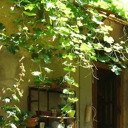 La Vigne Bleue Olonzac